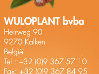 Wuloplant